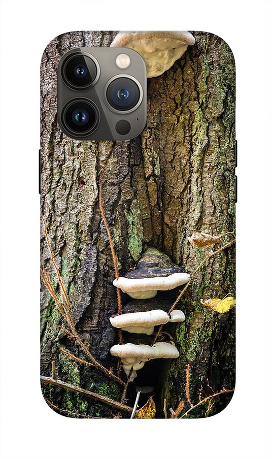 Mushrooms on the tree - Phone Case