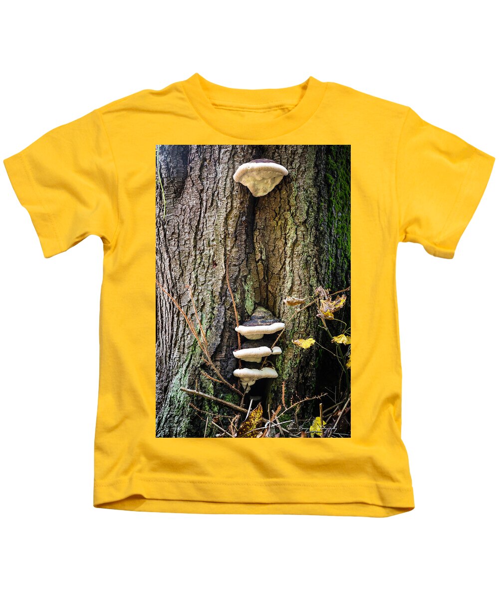 Mushrooms on the tree - Kids T-Shirt
