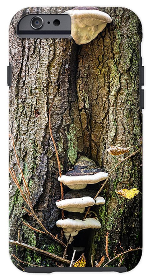 Mushrooms on the tree - Phone Case