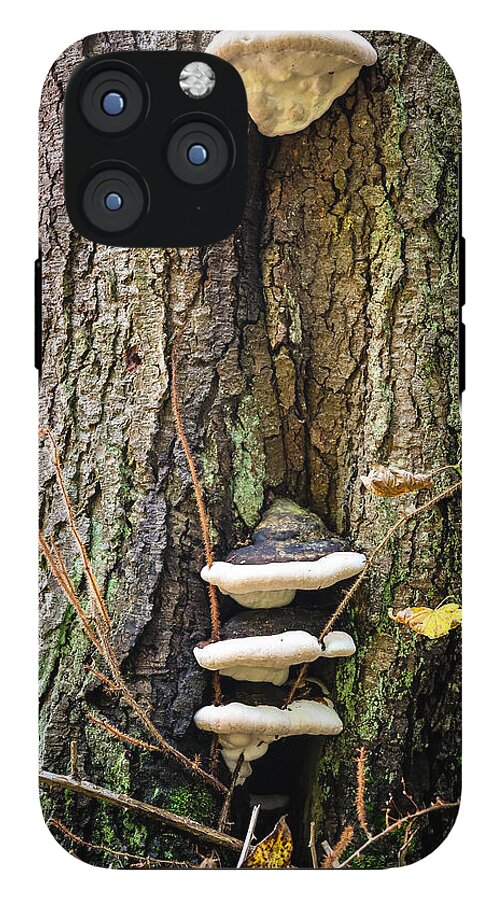 Mushrooms on the tree - Phone Case