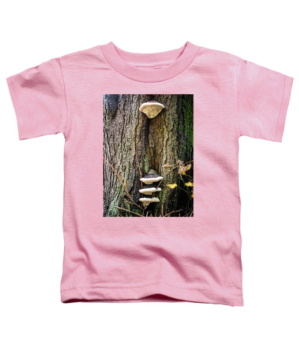 Mushrooms on the tree - Toddler T-Shirt