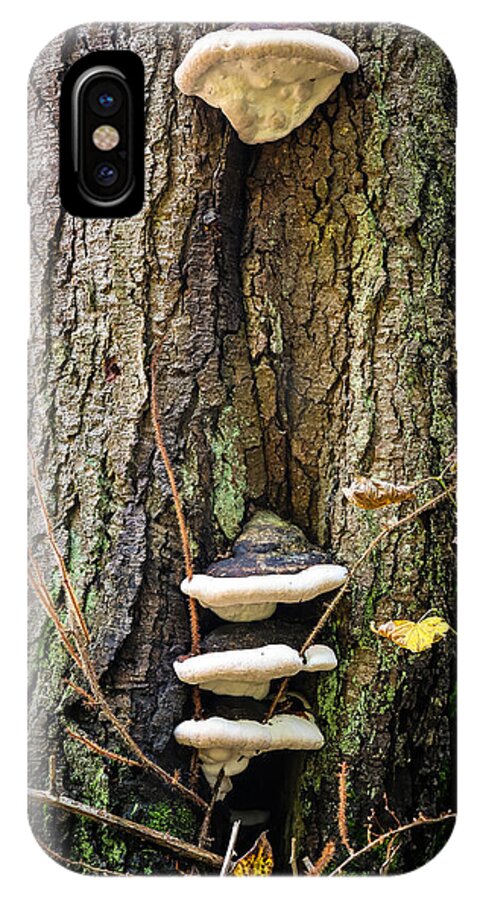 Mushrooms on the tree - Phone Case
