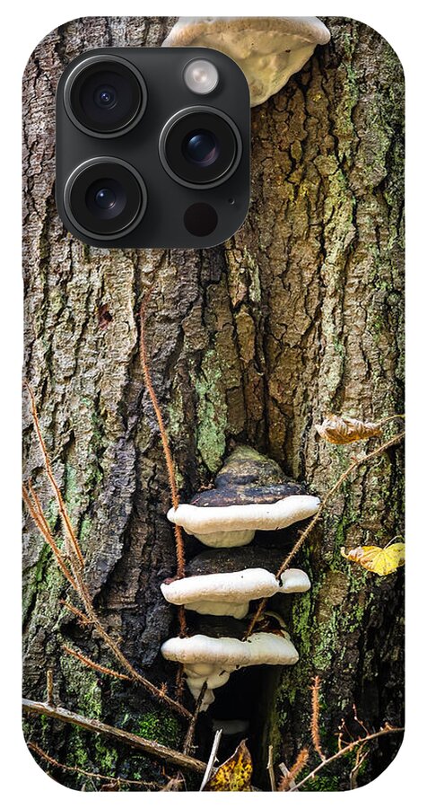 Mushrooms on the tree - Phone Case