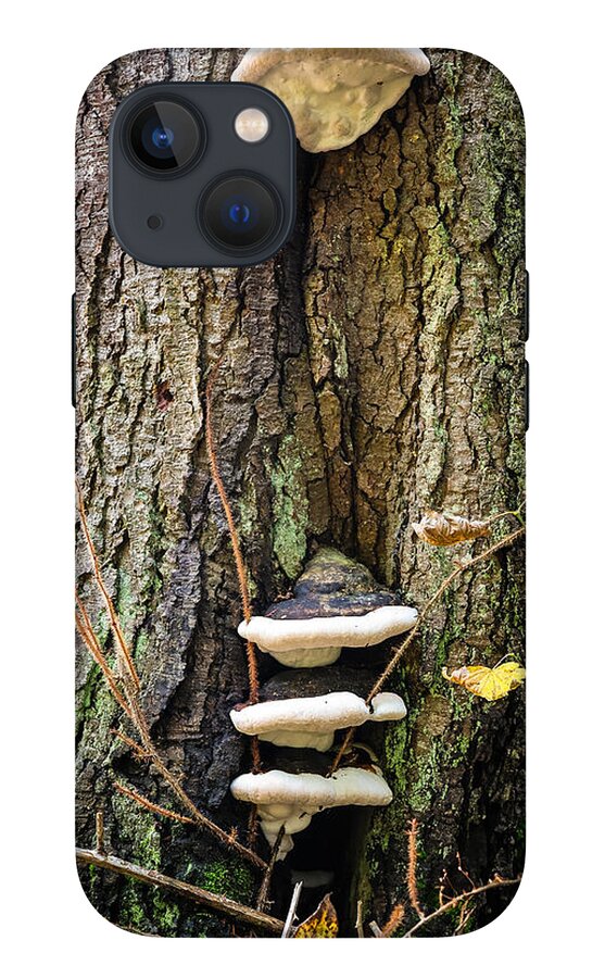 Mushrooms on the tree - Phone Case