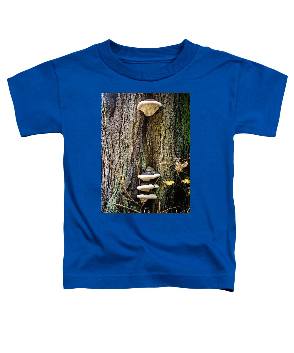 Mushrooms on the tree - Toddler T-Shirt
