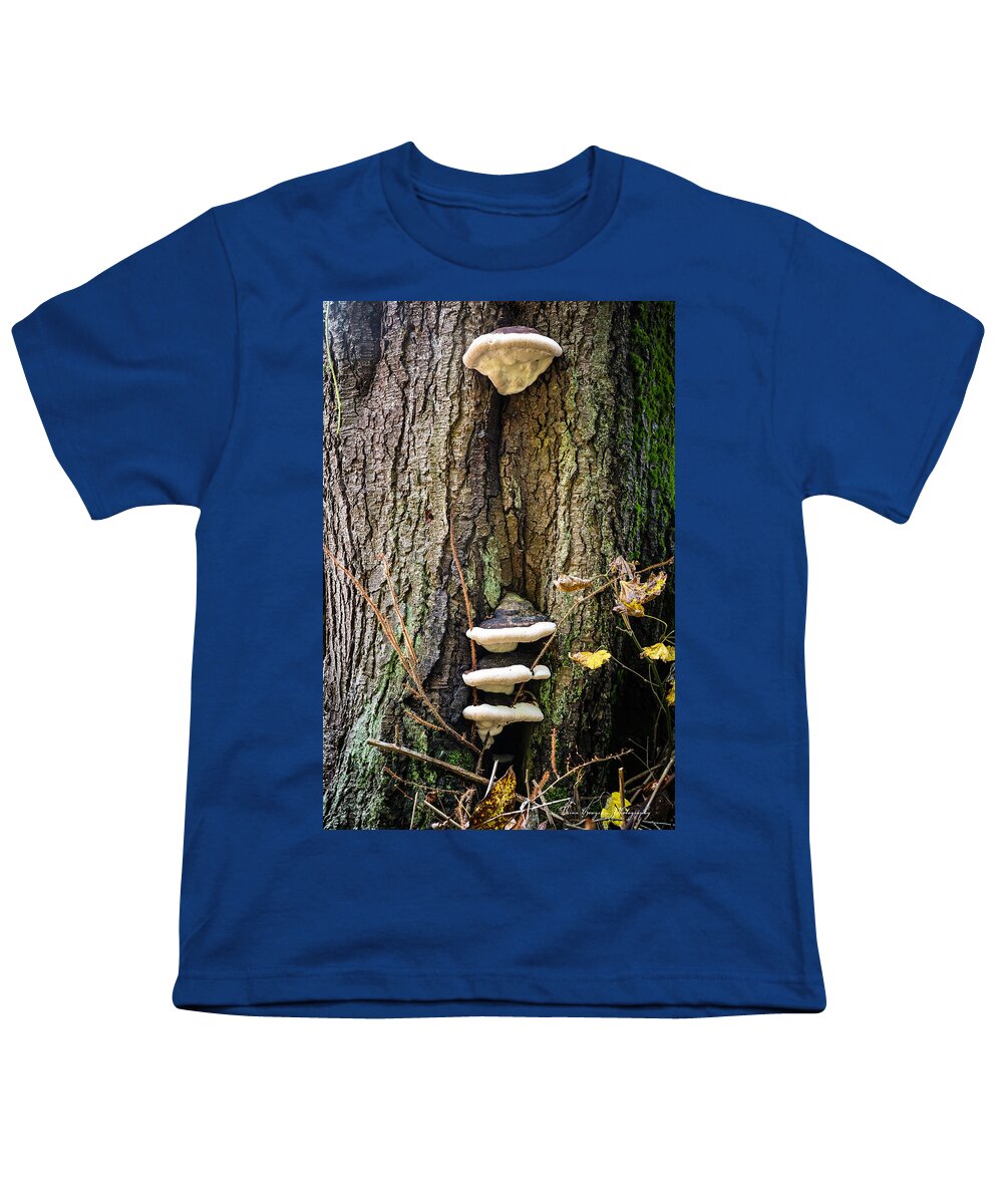 Mushrooms on the tree - Youth T-Shirt