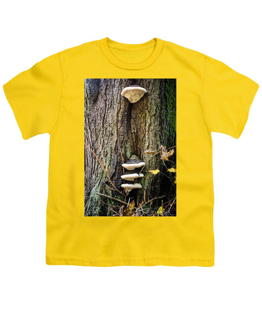 Mushrooms on the tree - Youth T-Shirt