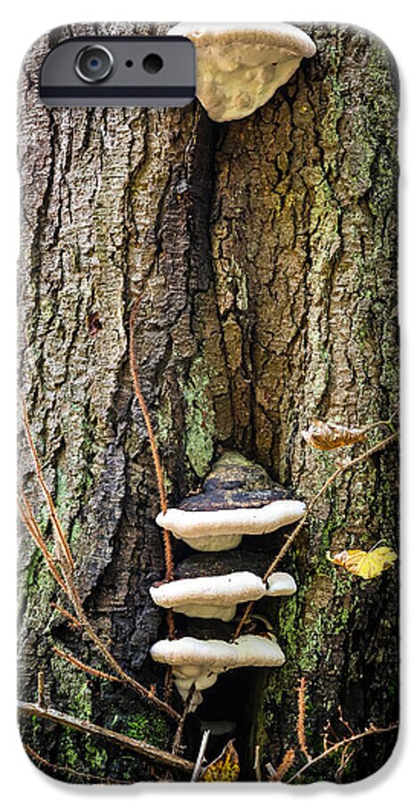 Mushrooms on the tree - Phone Case