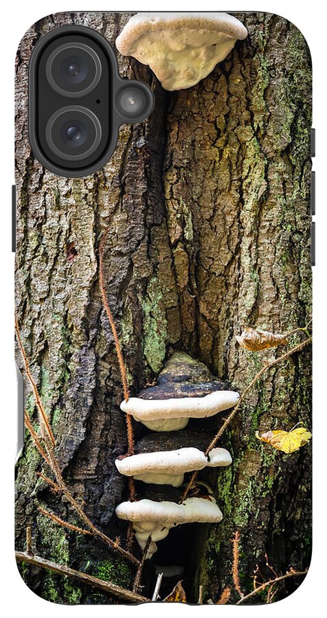 Mushrooms on the tree - Phone Case