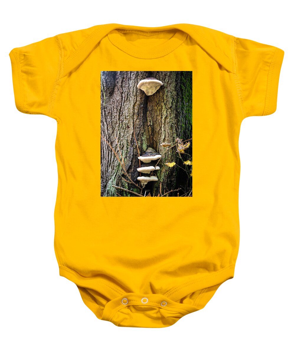 Mushrooms on the tree - Baby Onesie