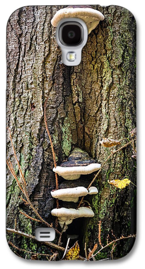 Mushrooms on the tree - Phone Case
