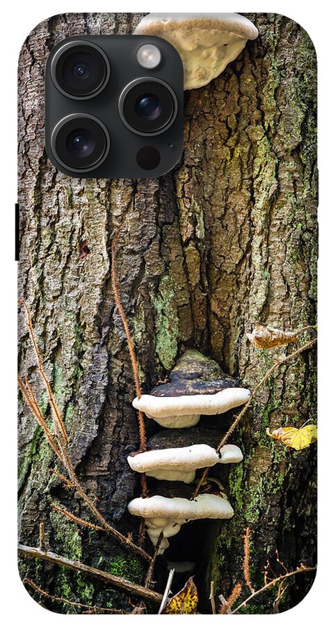 Mushrooms on the tree - Phone Case