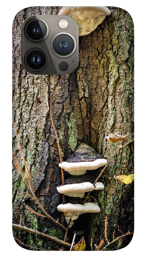 Mushrooms on the tree - Phone Case