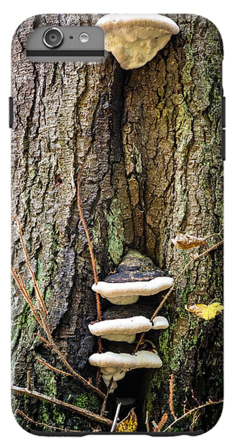 Mushrooms on the tree - Phone Case