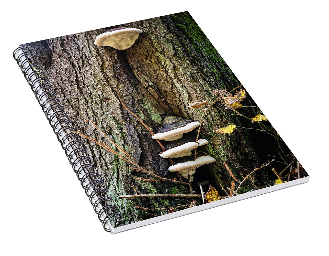 Mushrooms on the tree - Spiral Notebook
