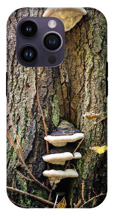 Mushrooms on the tree - Phone Case