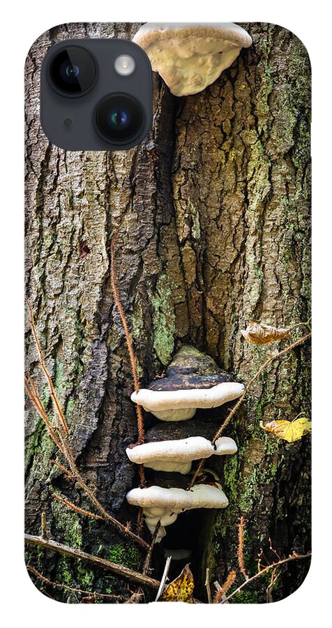 Mushrooms on the tree - Phone Case