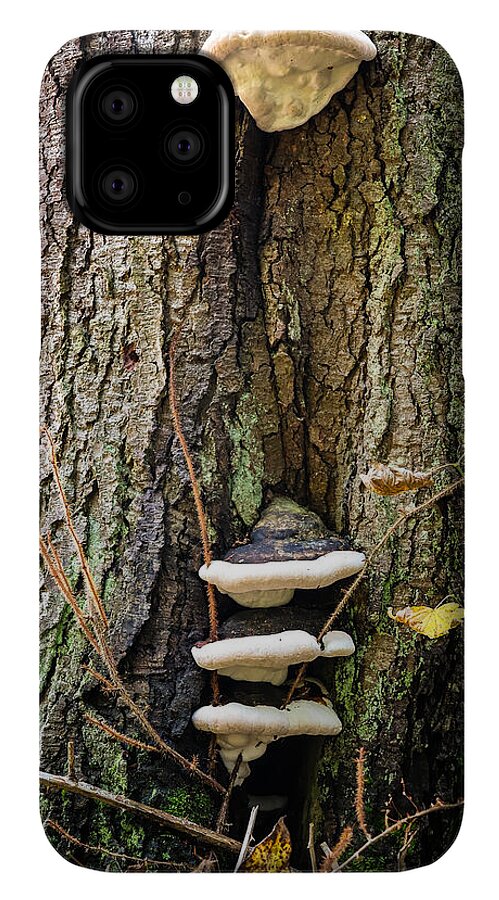 Mushrooms on the tree - Phone Case