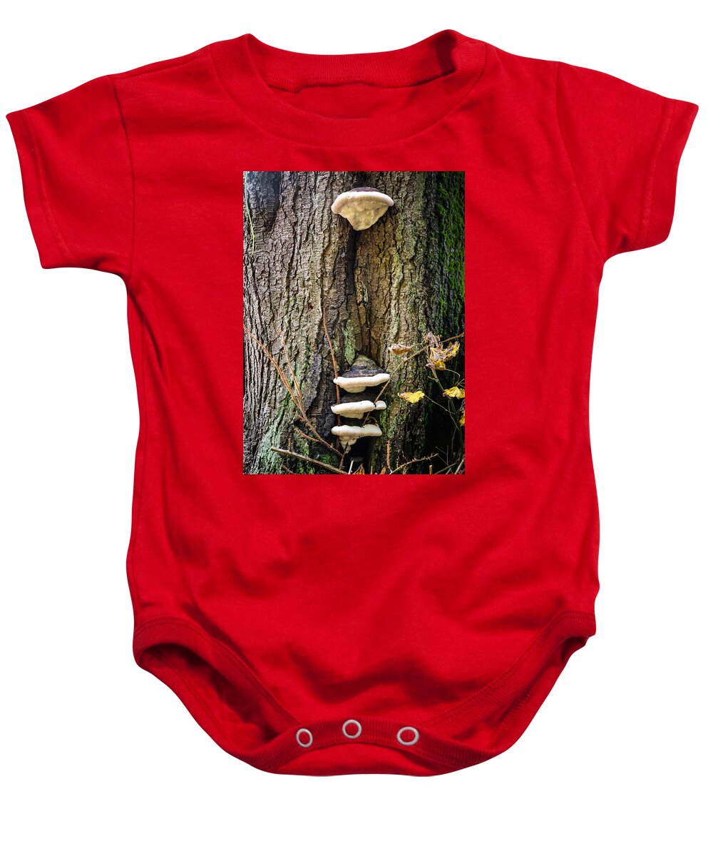 Mushrooms on the tree - Baby Onesie