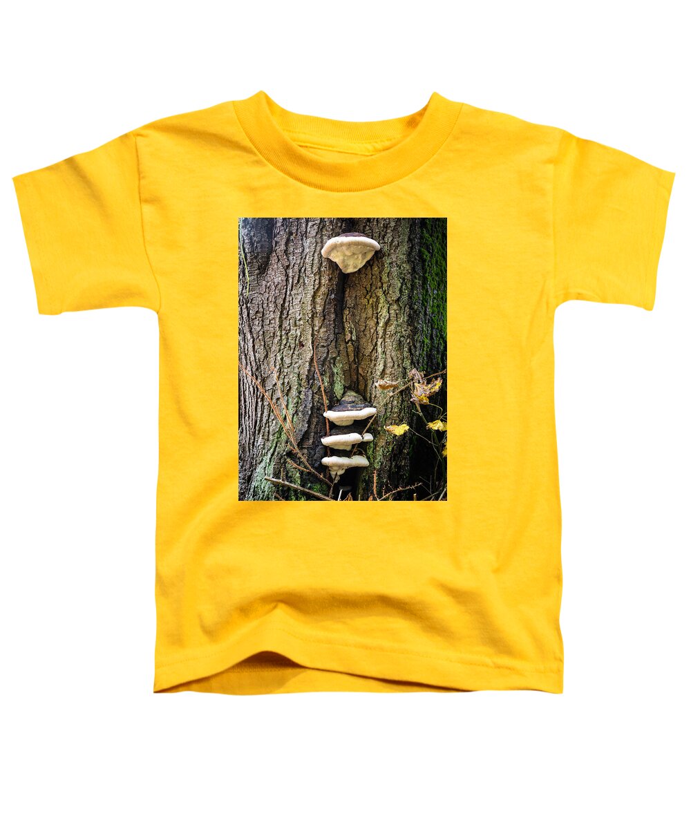 Mushrooms on the tree - Toddler T-Shirt