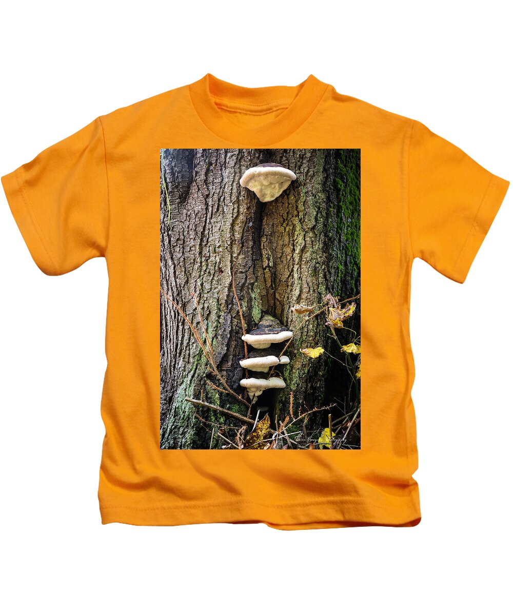 Mushrooms on the tree - Kids T-Shirt