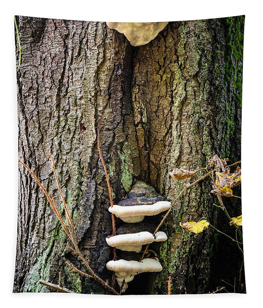 Mushrooms on the tree - Tapestry