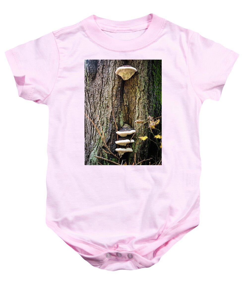 Mushrooms on the tree - Baby Onesie