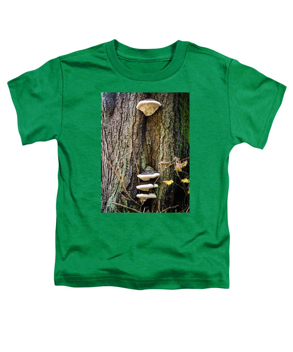 Mushrooms on the tree - Toddler T-Shirt