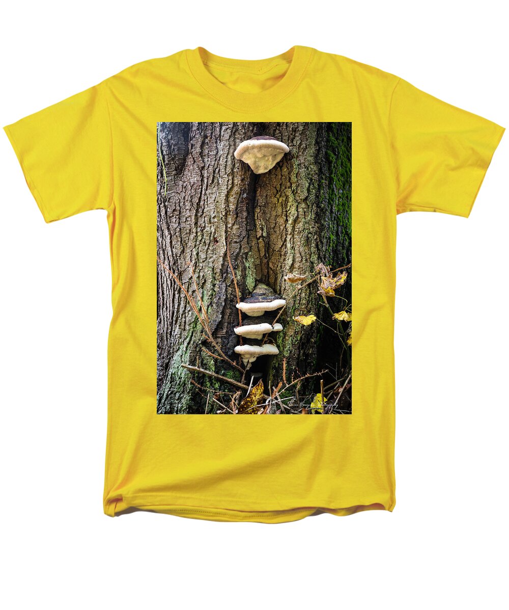 Mushrooms on the tree - Men's T-Shirt  (Regular Fit)