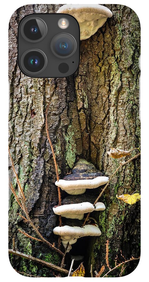 Mushrooms on the tree - Phone Case