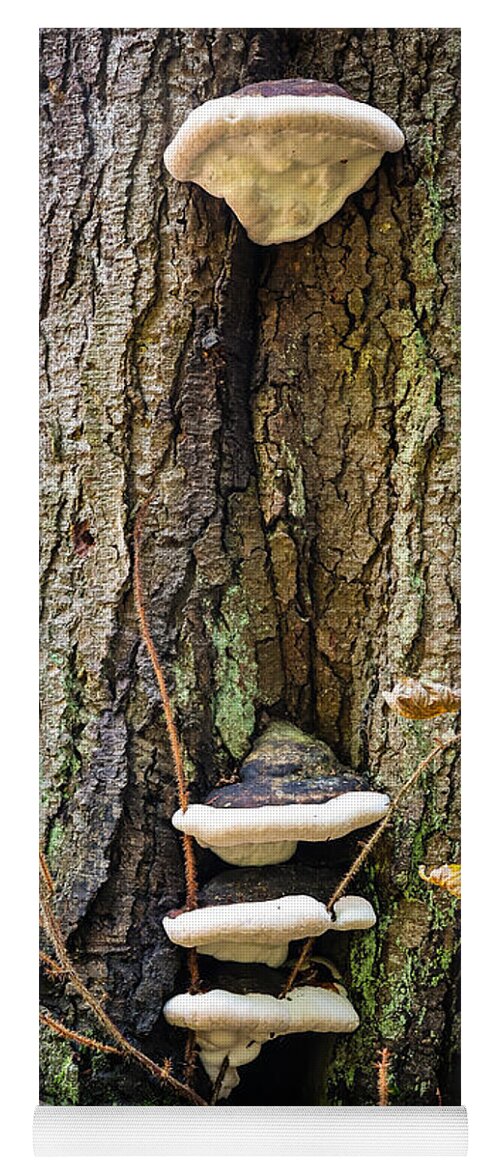 Mushrooms on the tree - Yoga Mat