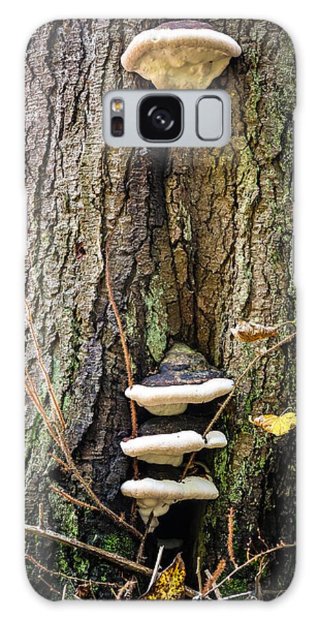 Mushrooms on the tree - Phone Case