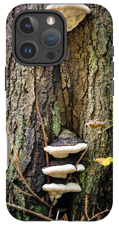 Mushrooms on the tree - Phone Case