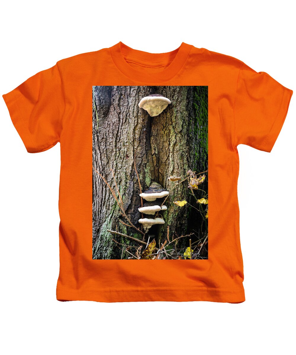 Mushrooms on the tree - Kids T-Shirt