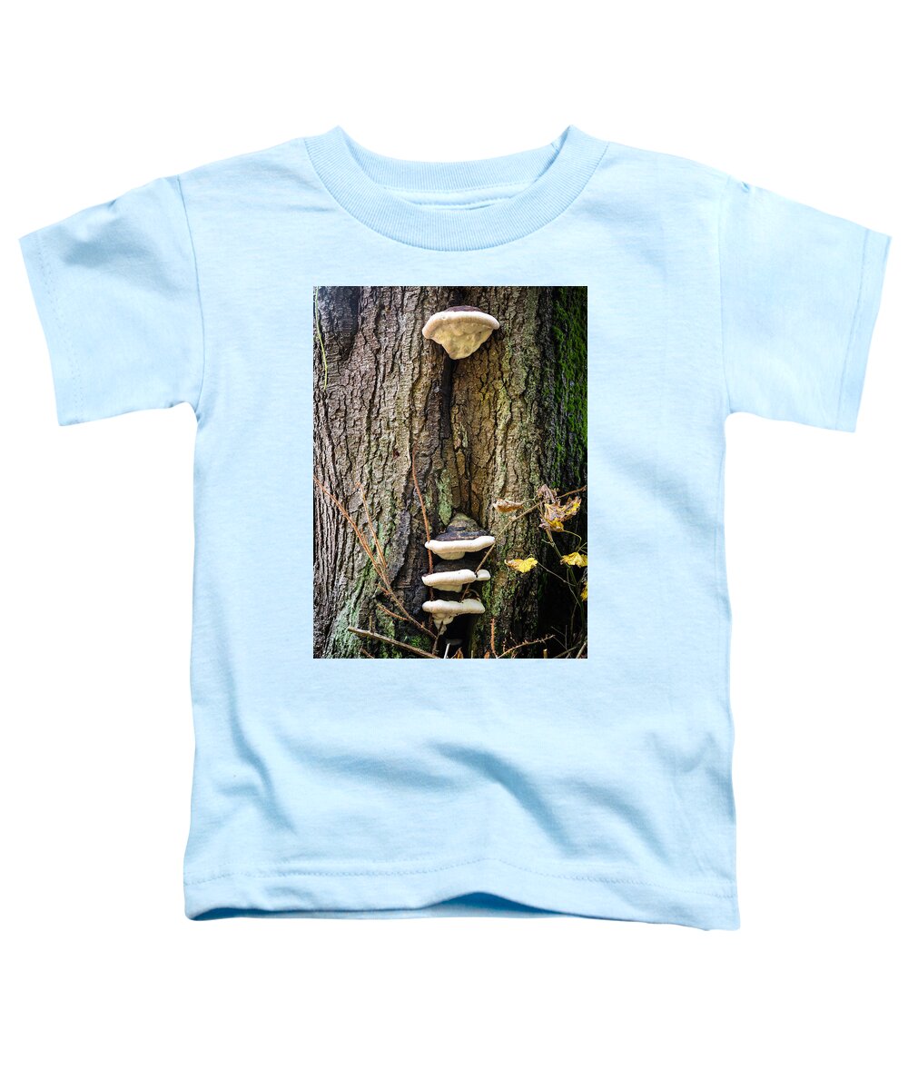 Mushrooms on the tree - Toddler T-Shirt