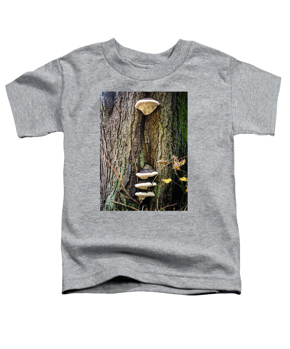 Mushrooms on the tree - Toddler T-Shirt