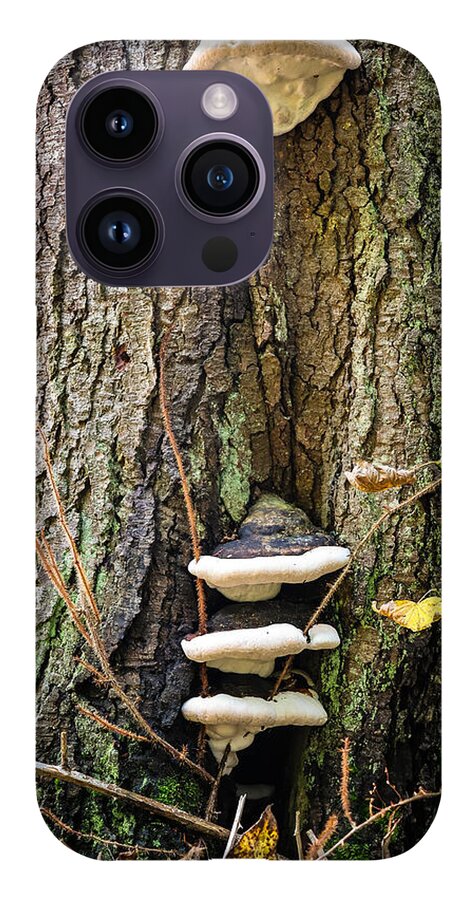 Mushrooms on the tree - Phone Case
