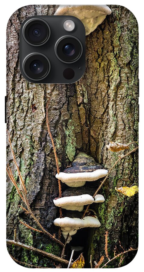 Mushrooms on the tree - Phone Case