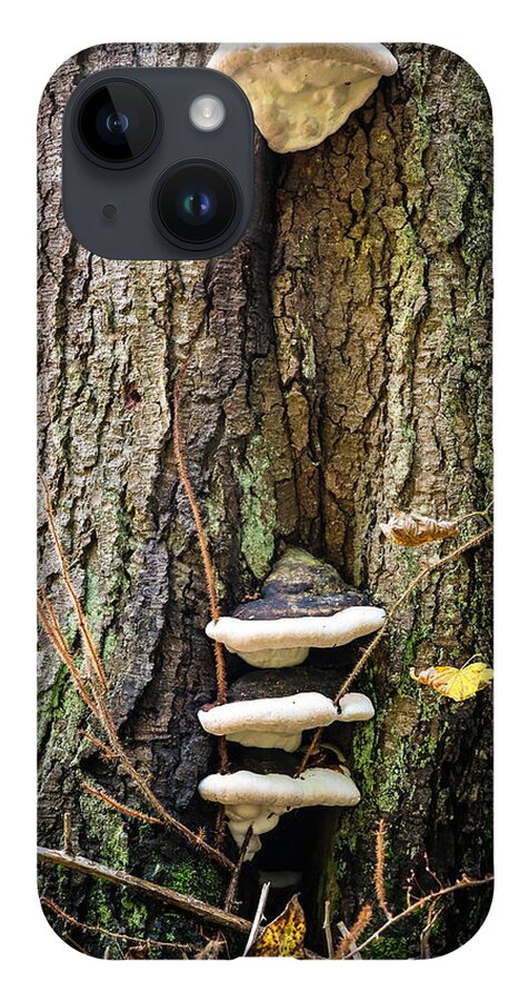 Mushrooms on the tree - Phone Case