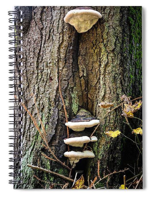 Mushrooms on the tree - Spiral Notebook