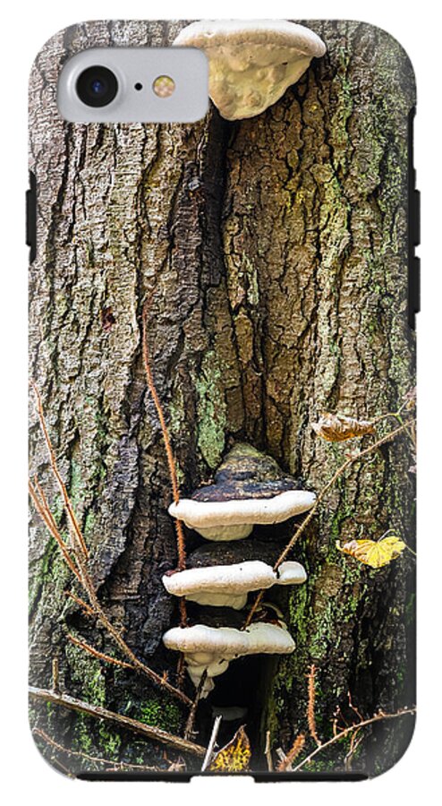 Mushrooms on the tree - Phone Case