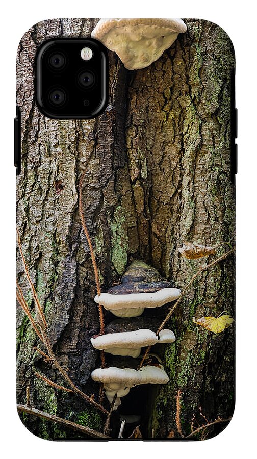 Mushrooms on the tree - Phone Case