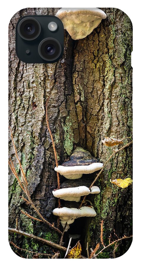 Mushrooms on the tree - Phone Case