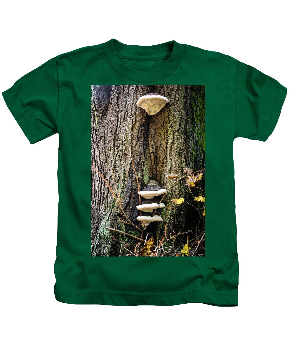 Mushrooms on the tree - Kids T-Shirt