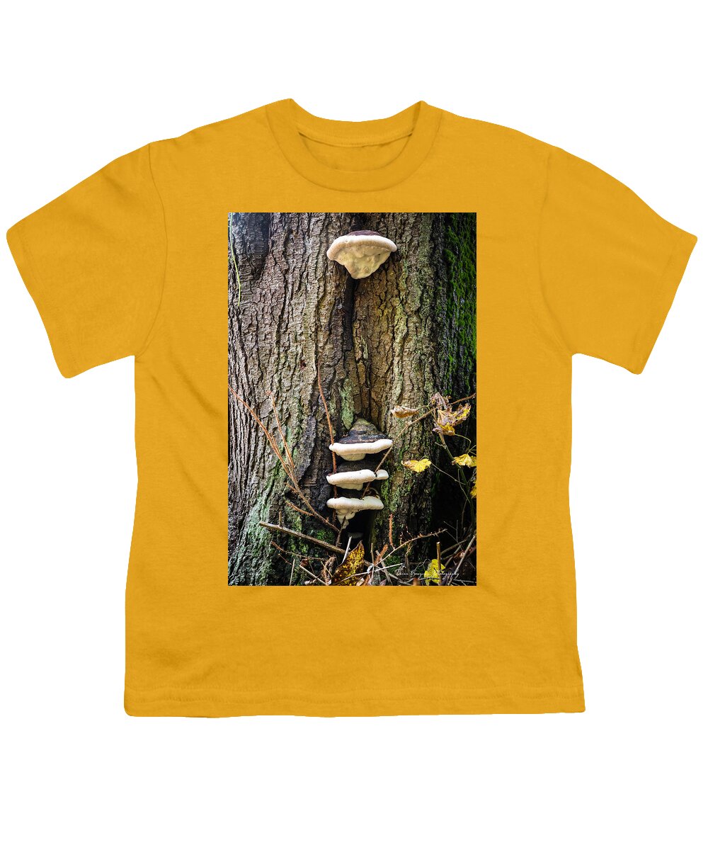 Mushrooms on the tree - Youth T-Shirt