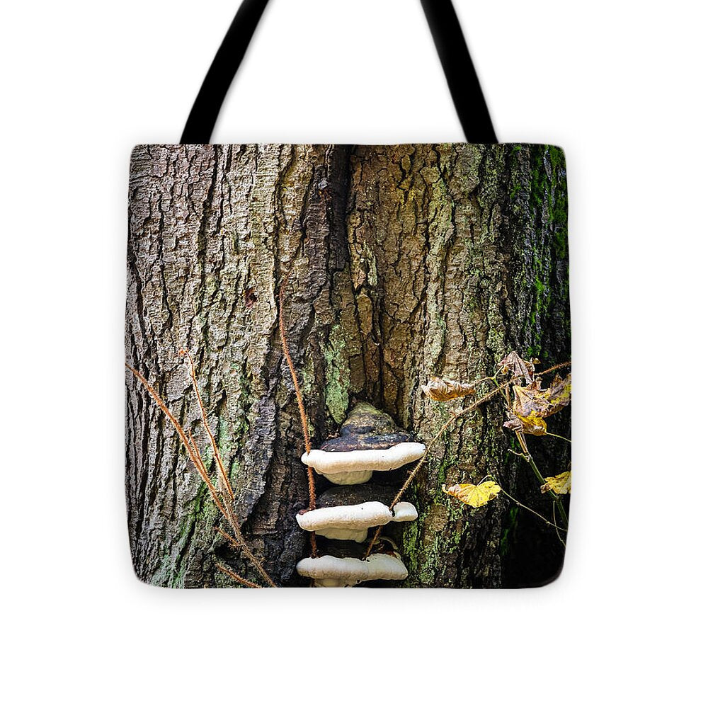 Mushrooms on the tree - Tote Bag