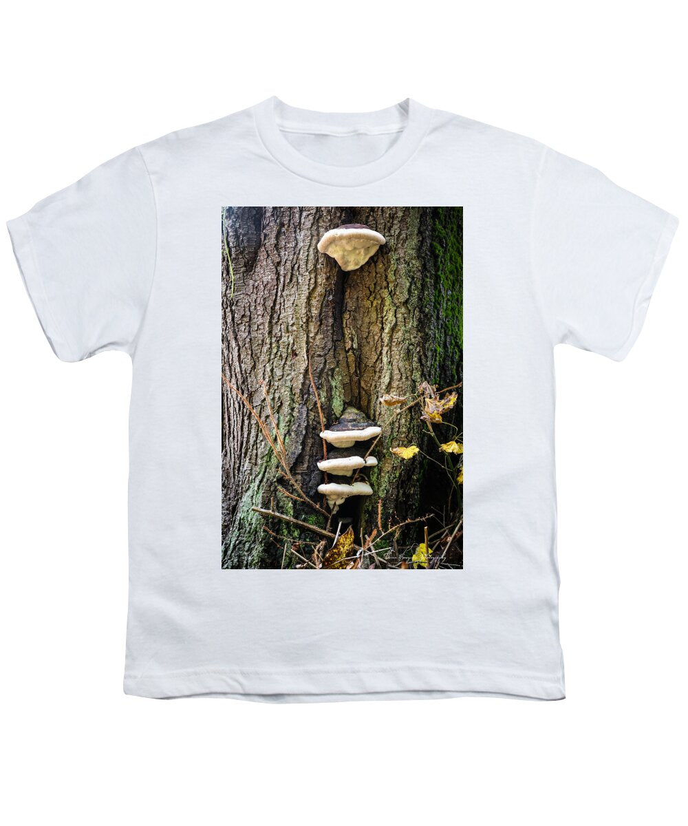 Mushrooms on the tree - Youth T-Shirt