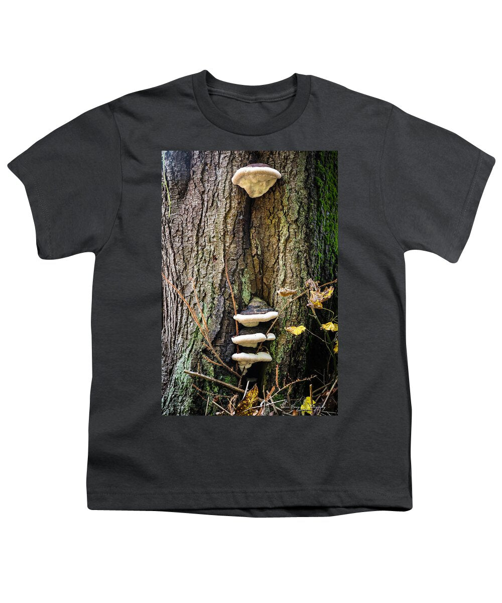 Mushrooms on the tree - Youth T-Shirt