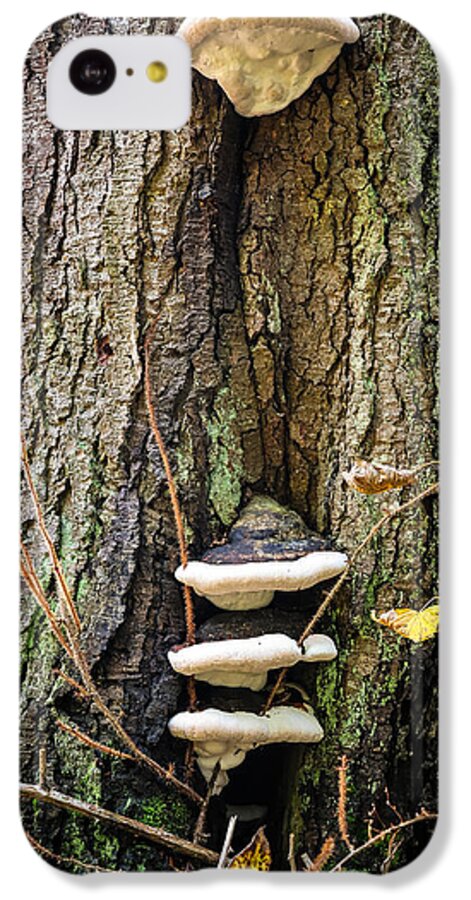 Mushrooms on the tree - Phone Case