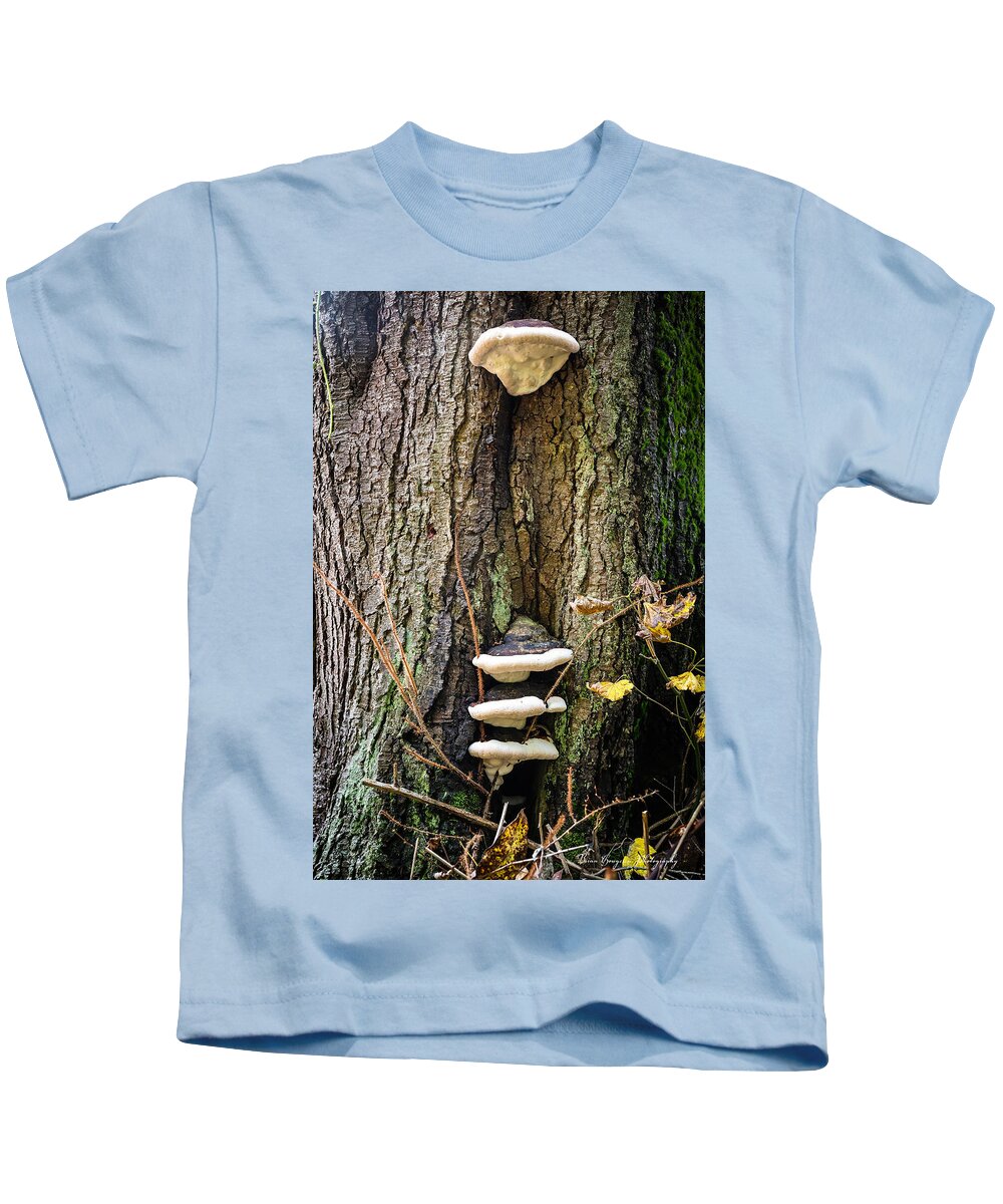 Mushrooms on the tree - Kids T-Shirt